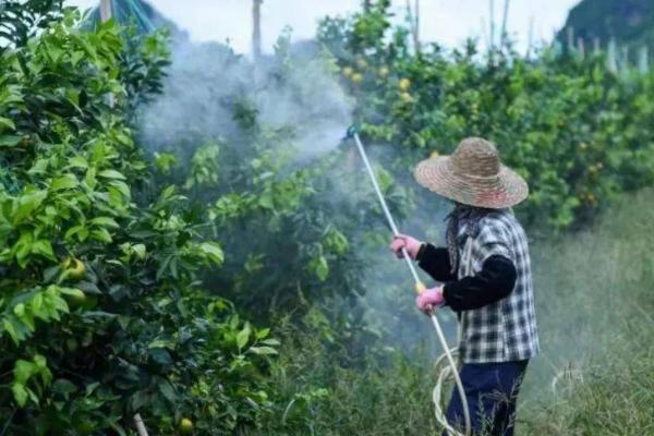 除草剂的分类，可按杀灭方式和作用方法来分类