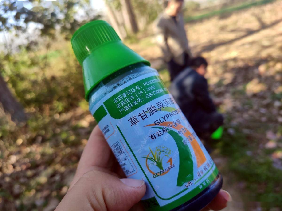 灭生性除草剂_灭生性除草剂可以杀死所有杂草_灭生性除草剂对人体的危害