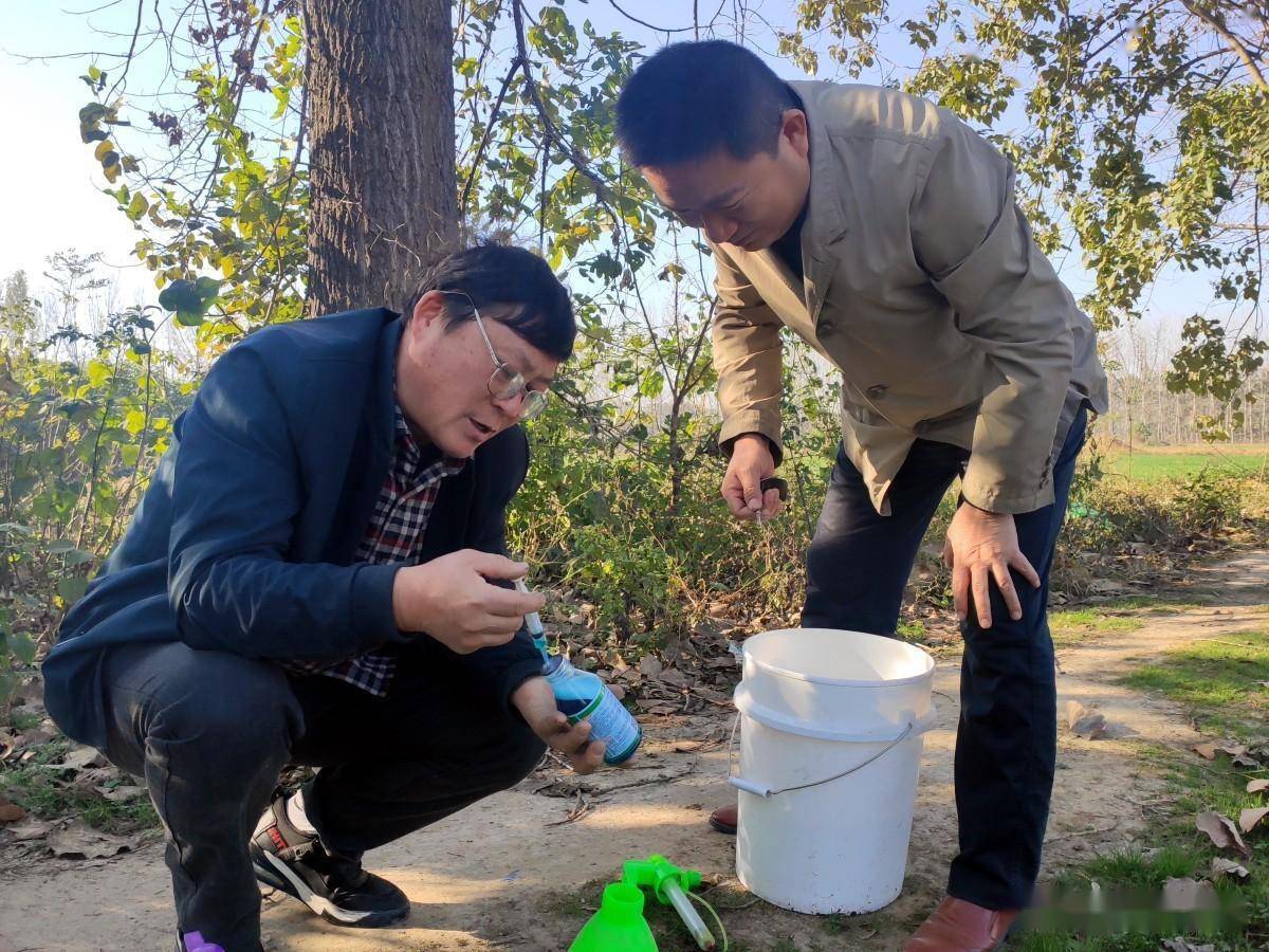 灭生性除草剂可以杀死所有杂草_灭生性除草剂_灭生性除草剂对人体的危害