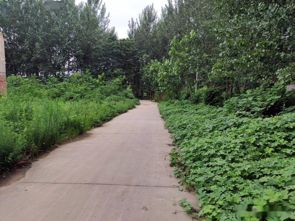 灭生性除草剂对人体的危害_灭生性除草剂_灭生性除草剂可以杀死所有杂草
