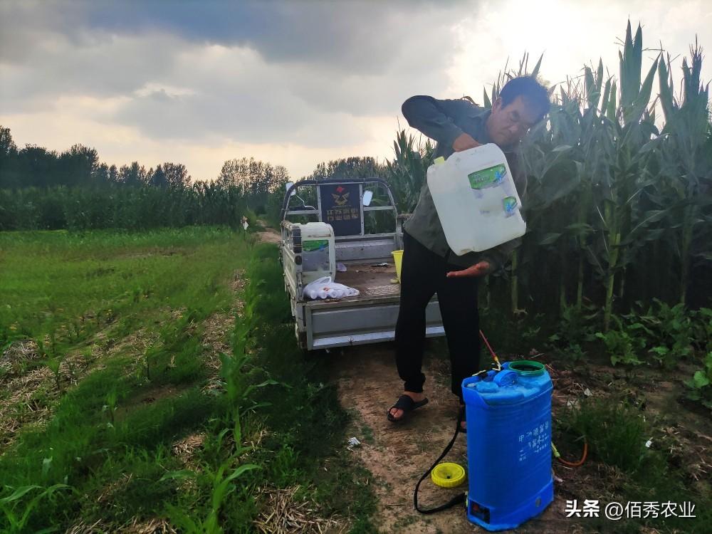 玉米除草剂_玉米除草剂_玉米除草剂的用法