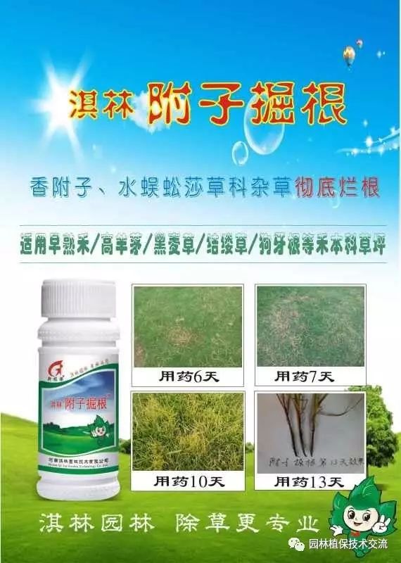 草坪除草剂_草坪除草剂的使用方法_草坪除草剂大全