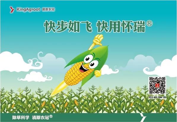 草坪除草剂的使用方法_草坪除草剂_草坪除草剂有什么药好