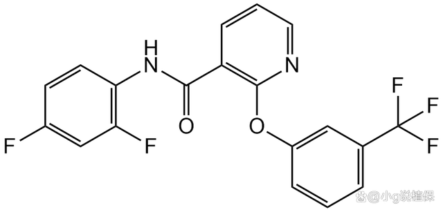 花生出苗后用什么除草剂除草_墨西哥玉米草用什么除草剂除草_除草剂