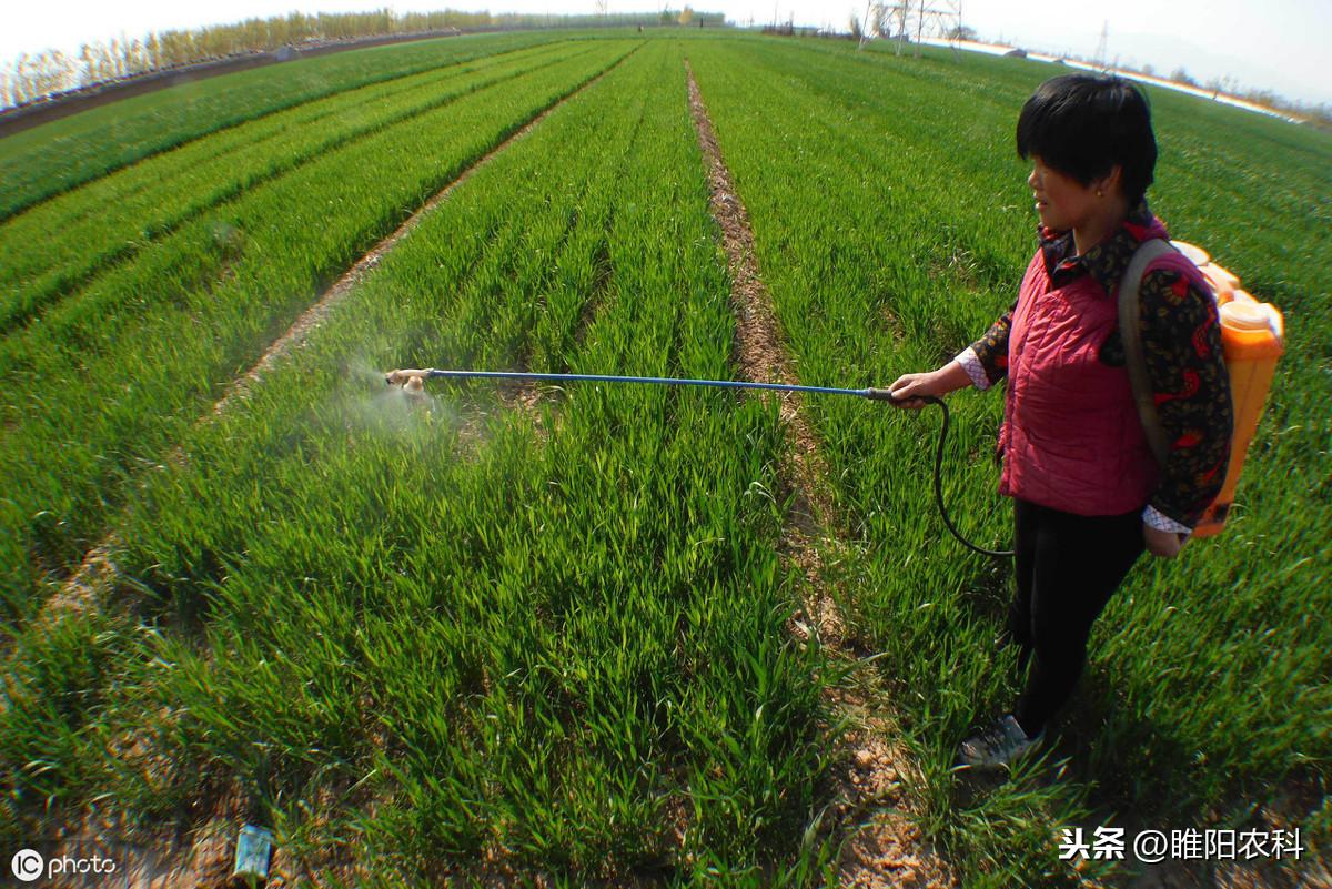 花生出苗后用什么除草剂除草_半夏用什么除草剂除草_除草剂