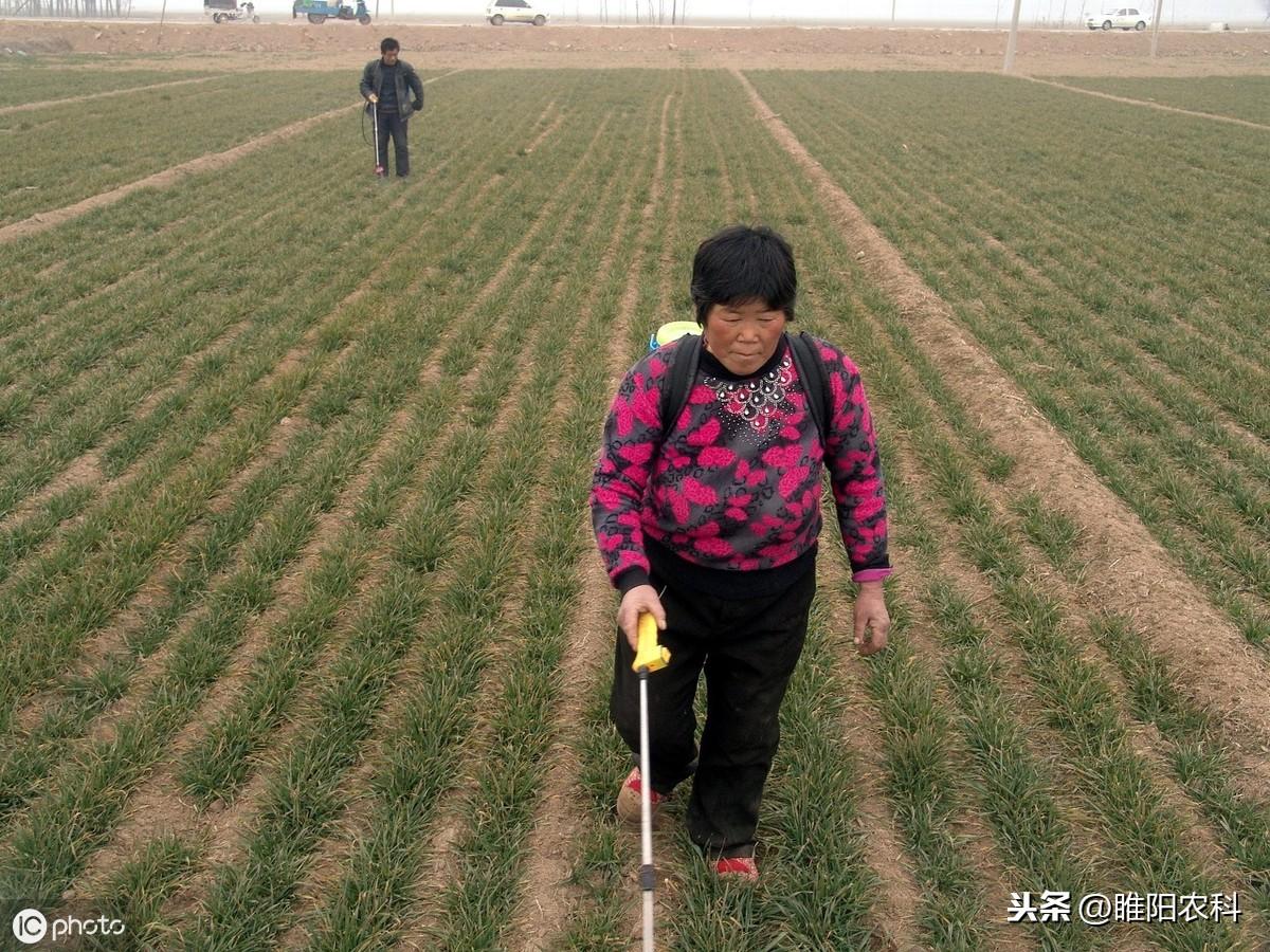 半夏用什么除草剂除草_花生出苗后用什么除草剂除草_除草剂