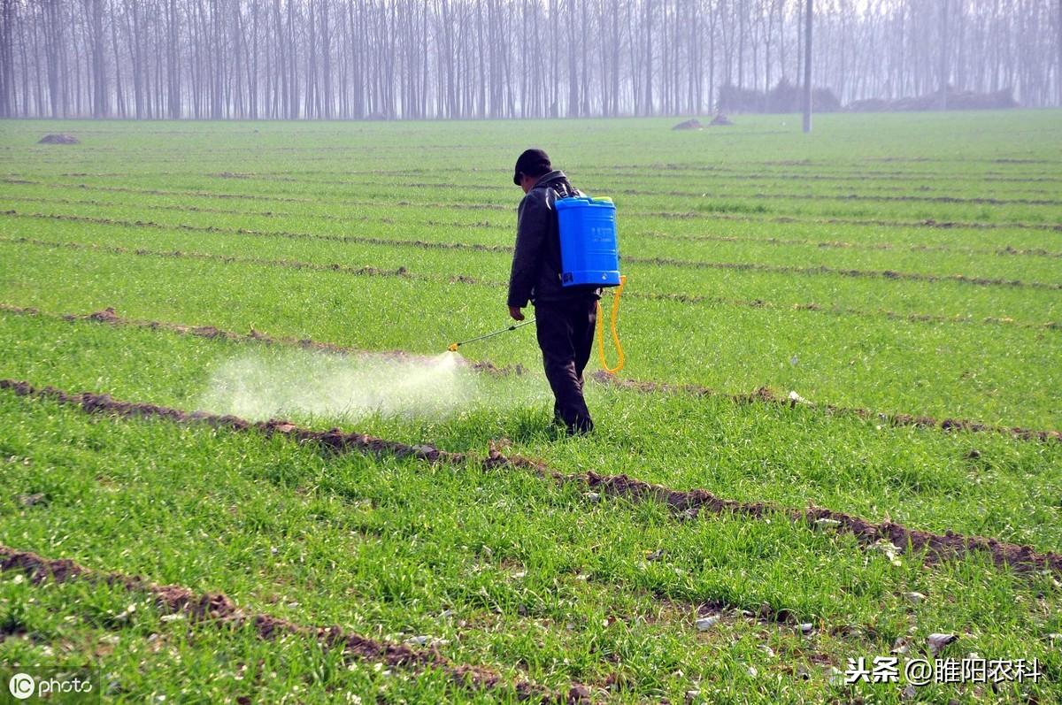 花生出苗后用什么除草剂除草_半夏用什么除草剂除草_除草剂