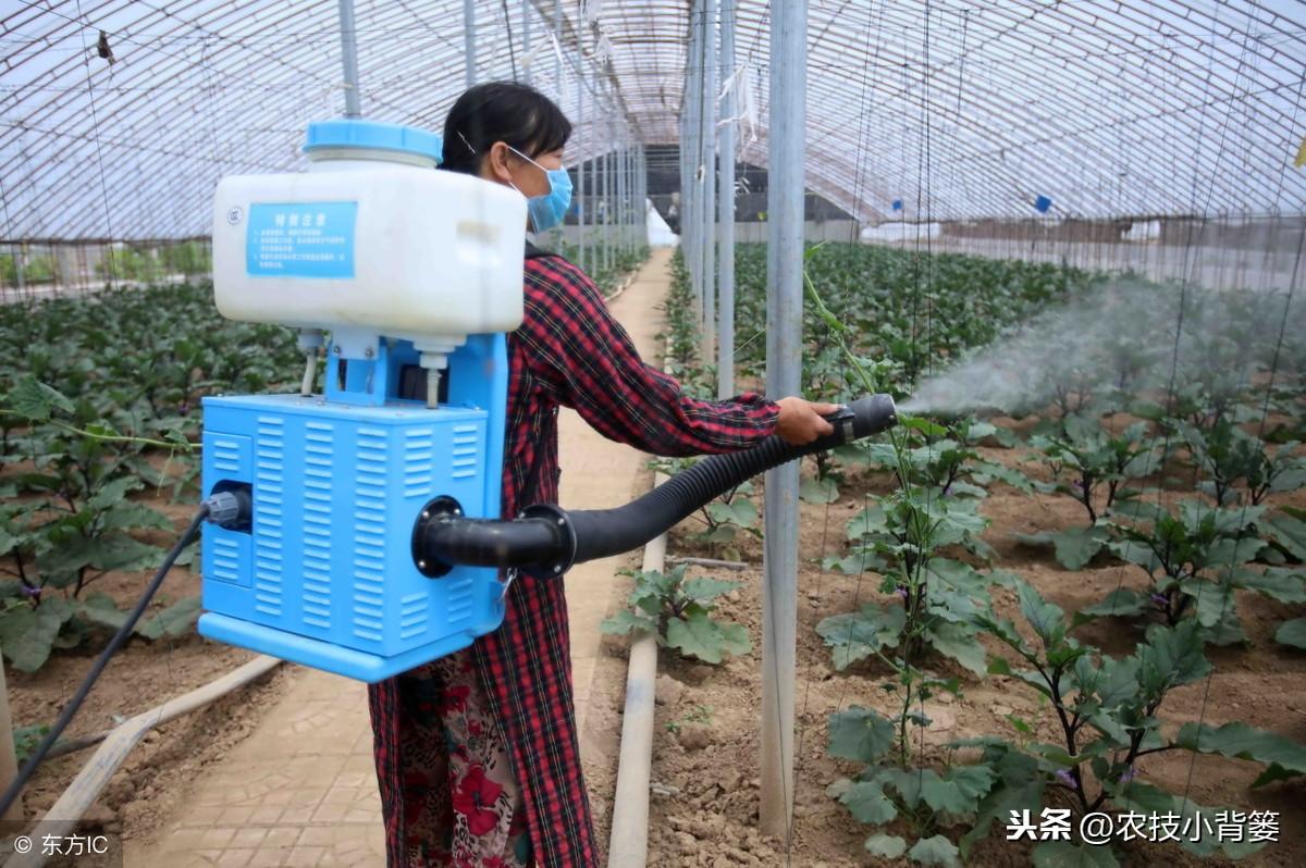 除草剂_玉米田芦苇用什么除草剂除草_黄豆地用什么除草剂除草