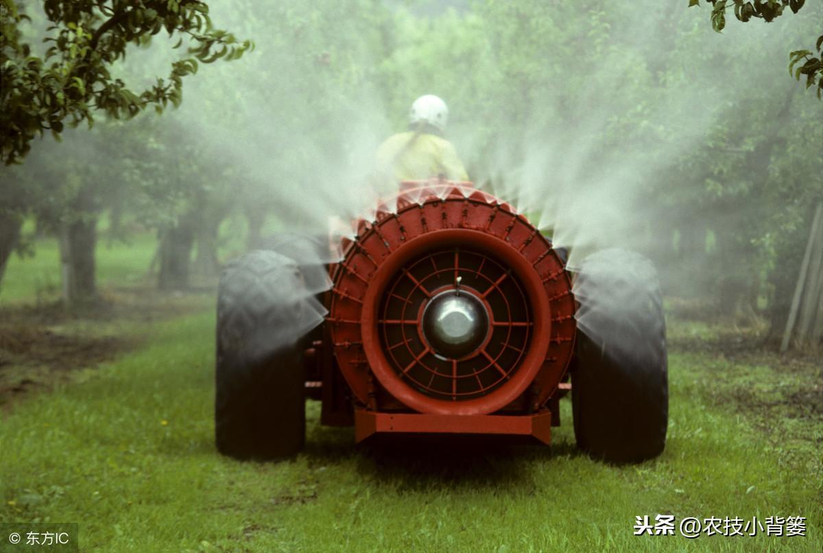 黄豆地用什么除草剂除草_除草剂_玉米田芦苇用什么除草剂除草
