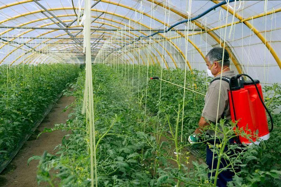 半夏用什么除草剂除草_黄豆地用什么除草剂除草_除草剂