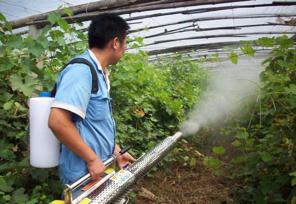 黄豆地用什么除草剂除草_半夏用什么除草剂除草_除草剂