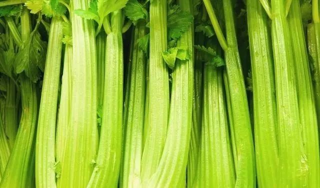 除草剂_玉米田芦苇用什么除草剂除草_半夏用什么除草剂除草