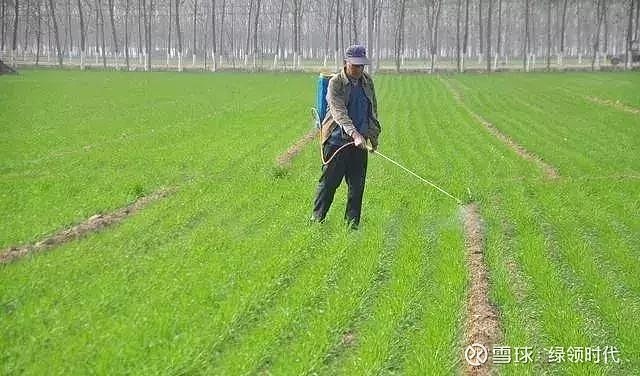 除草剂怎么配法_除草剂怎么配方_除草剂配方