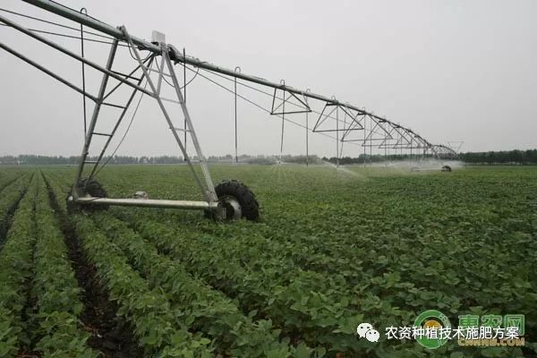 灭生性除草剂可以杀死所有杂草_灭生性除草剂_常见灭生性除草剂