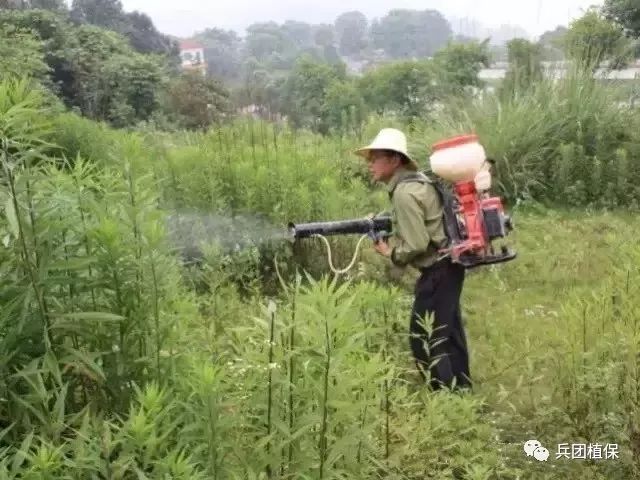 几种常见的除草剂类型_除草剂种类_除草剂的剂型主要有哪些