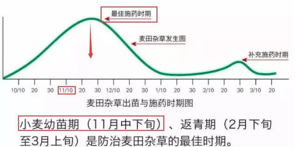 黄豆地用什么除草剂除草_花生出苗后用什么除草剂除草_除草剂