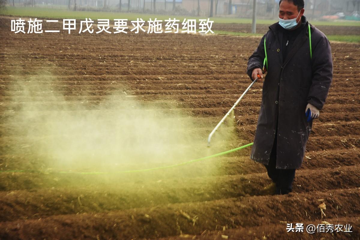 除草剂怎么配方_除草剂配方制作大全_除草剂配方
