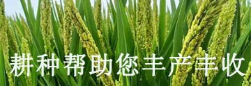 农药除草剂大全_除草剂农药使用方法_农药除草剂