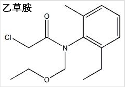 除草剂乙草胺用法详解_乙草胺除草剂_除草剂乙草胺毒性大吗