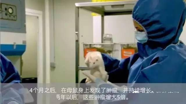 草甘膦除草剂_剂甘草除草膦效果好吗_除草剂草甘膦的作用