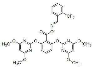 黄豆地用什么除草剂除草_除草剂_墨西哥玉米草用什么除草剂除草