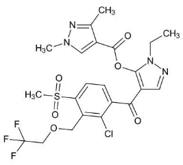 墨西哥玉米草用什么除草剂除草_黄豆地用什么除草剂除草_除草剂
