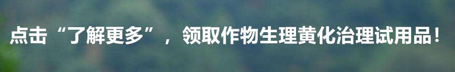 玉米除草剂_玉米除草剂_玉米除草剂打什么药