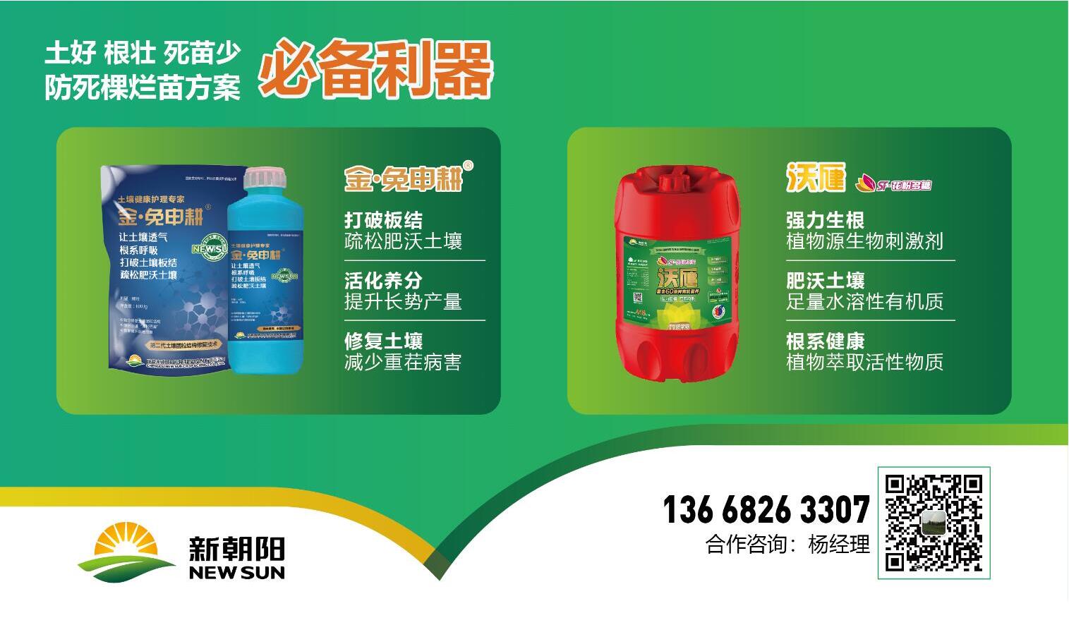 玉米除草专用药_玉米除草剂的用法_玉米除草剂
