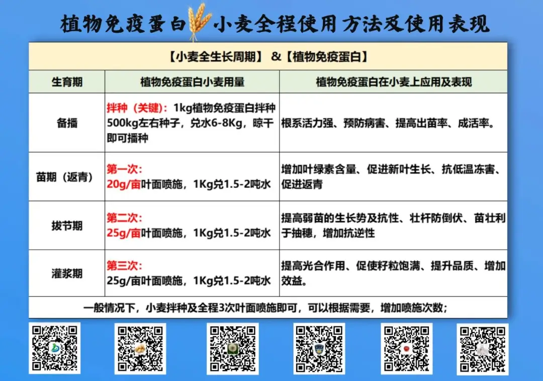 小麦除草剂使用注意事项_小麦除草剂_小麦除草剂
