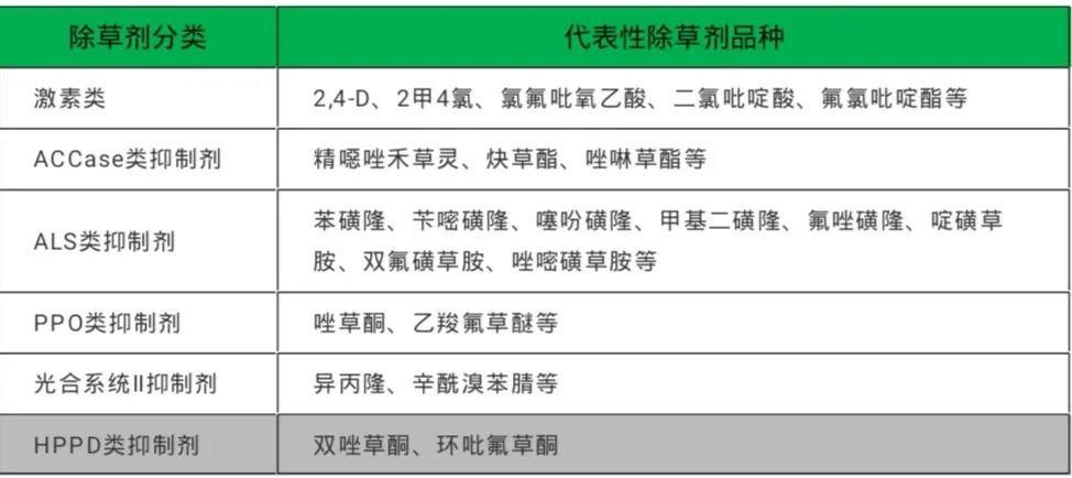 小麦除草剂_小麦除草剂的用法_小麦除草剂