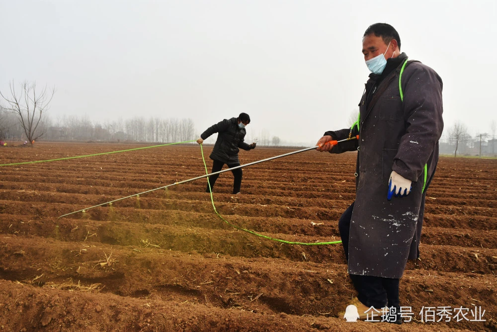烟嘧磺隆除草剂_烟嘧磺隆除草剂有效期_烟嘧磺隆除草剂人能喝死人吗