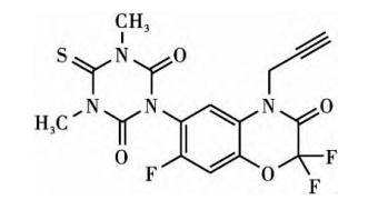 除草剂_玉米田芦苇用什么除草剂除草_黄豆地用什么除草剂除草